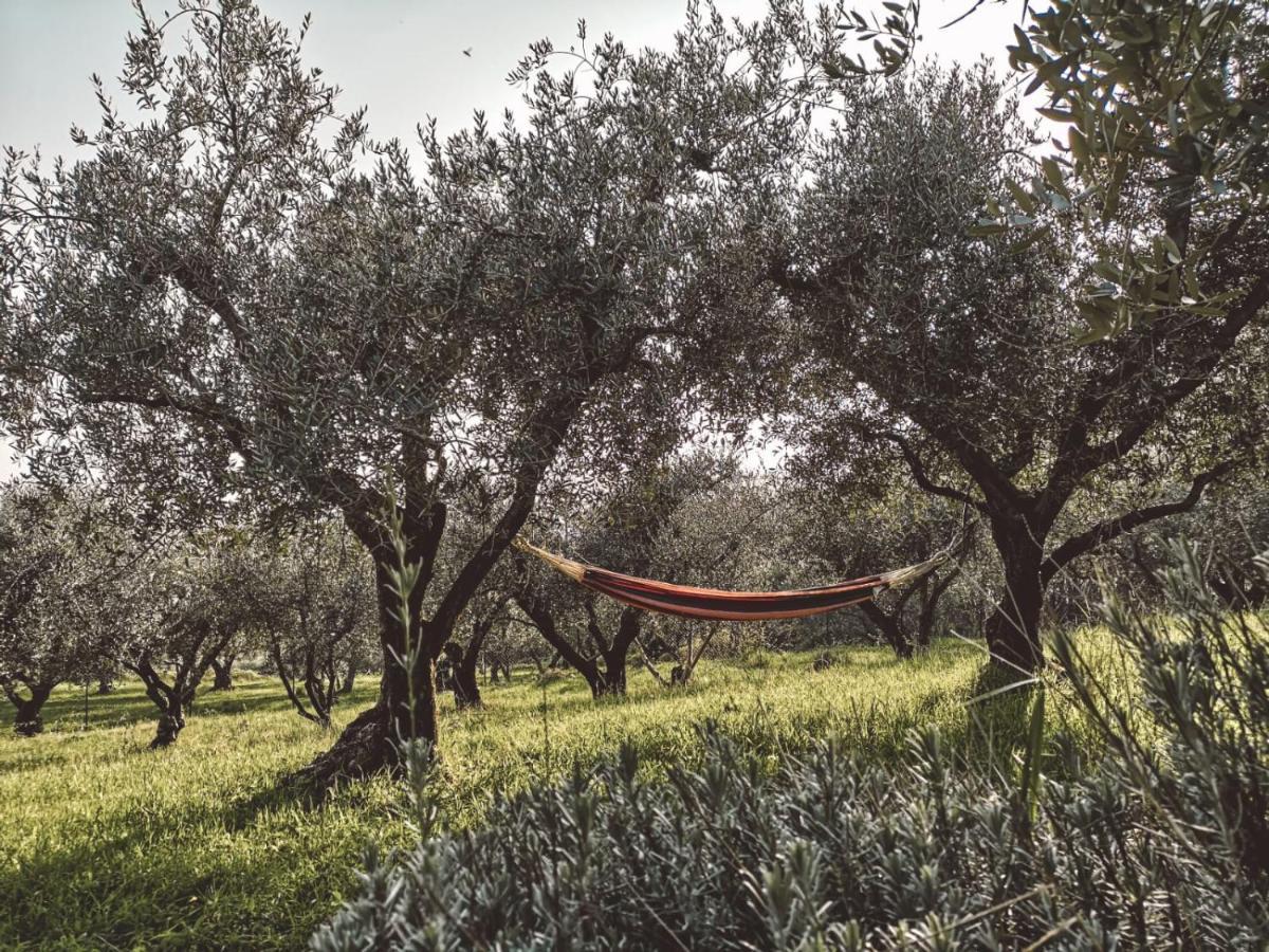 Agriturismo Bosco Magico Vérone Extérieur photo