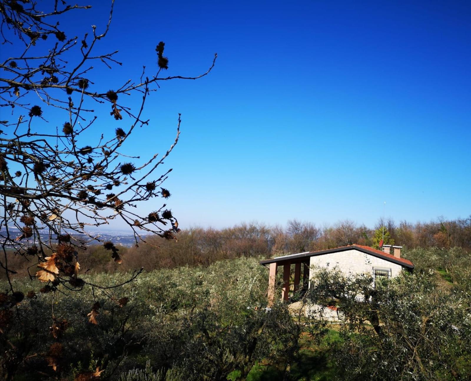 Agriturismo Bosco Magico Vérone Extérieur photo