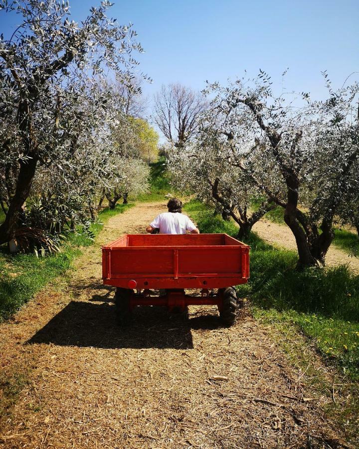 Agriturismo Bosco Magico Vérone Extérieur photo