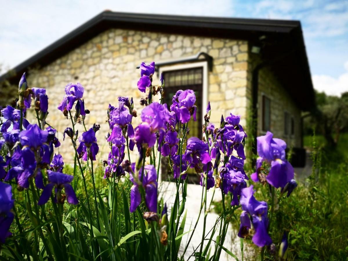 Agriturismo Bosco Magico Vérone Extérieur photo