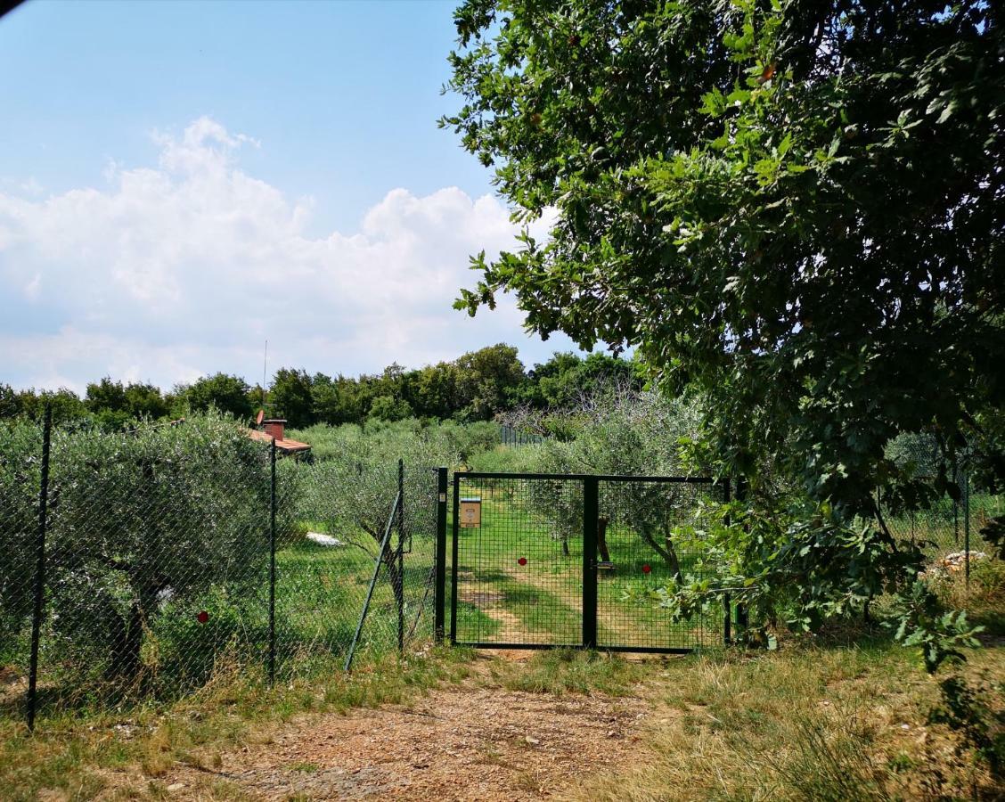 Agriturismo Bosco Magico Vérone Extérieur photo